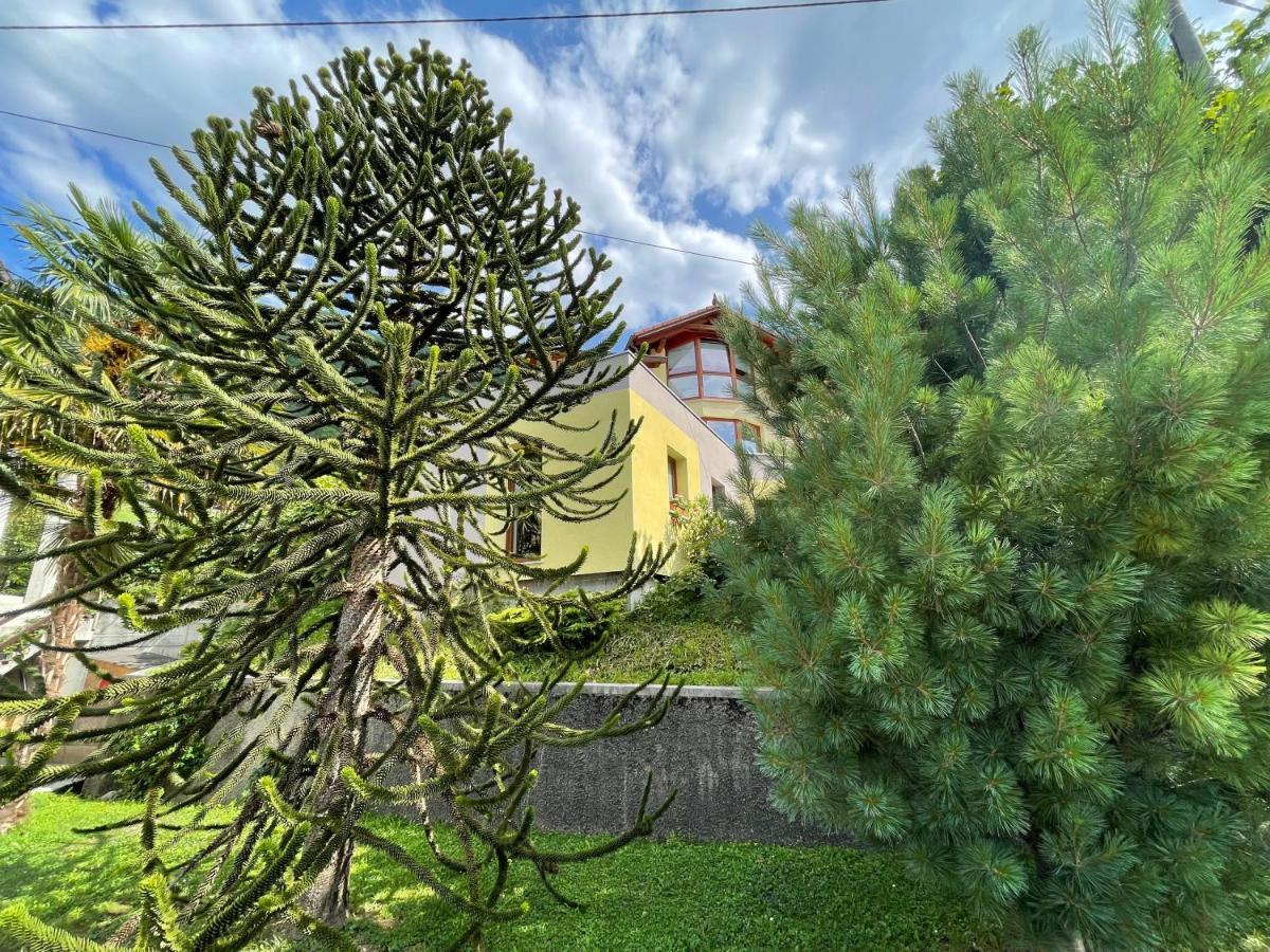 Apartma 7 - In The Heart Of Soca Valley Tolmin Exterior photo
